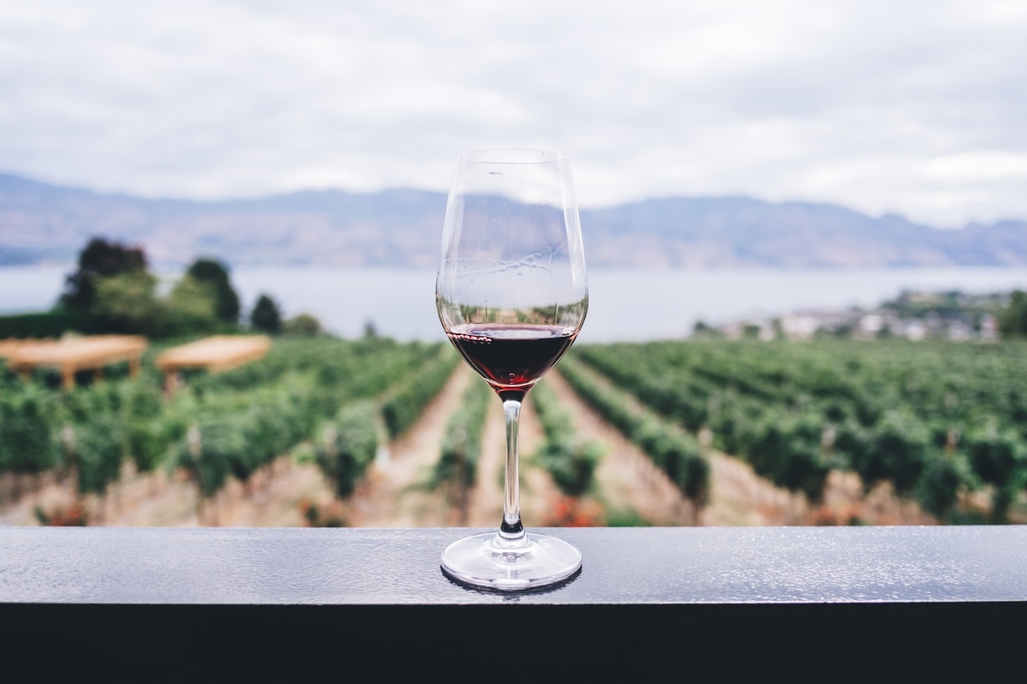 Come Scegliere il Vino Perfetto per Ogni Occasione: Guida Pratica ed Emotiva
